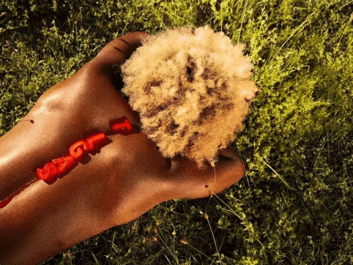 reggie becton’s ‘the last great american summer’ observes fleeting&nbsp;youth