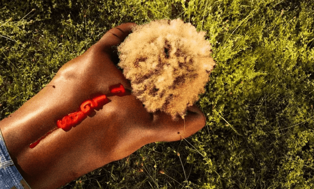 reggie becton’s ‘the last great american summer’ observes fleeting&nbsp;youth